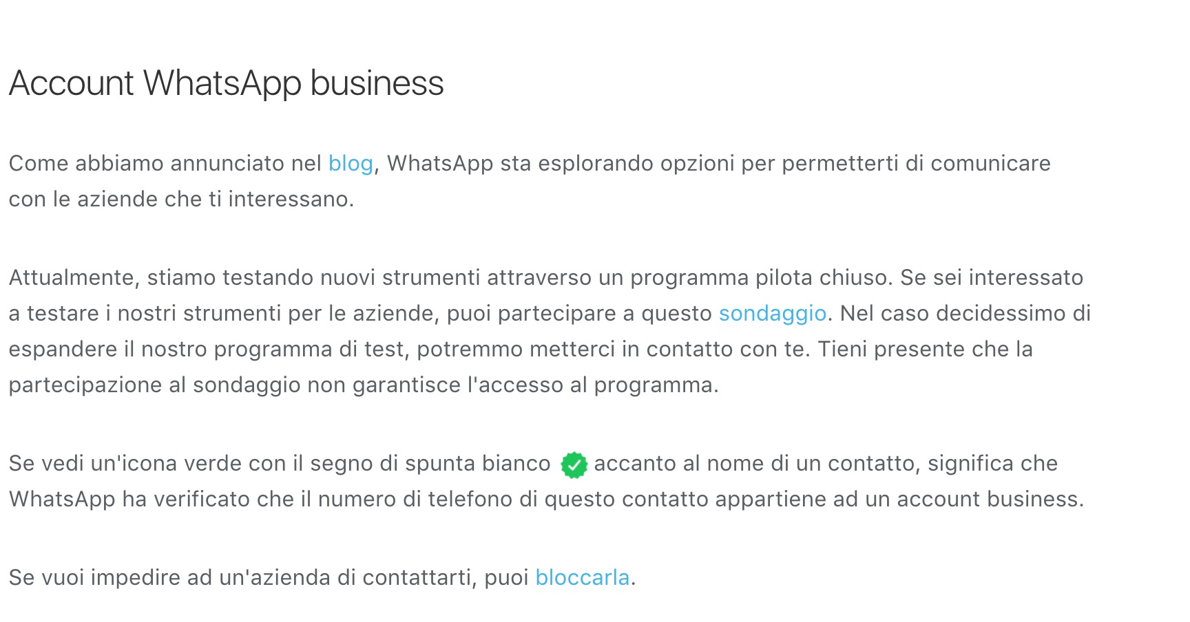 whatsapp business - Consulente Torino