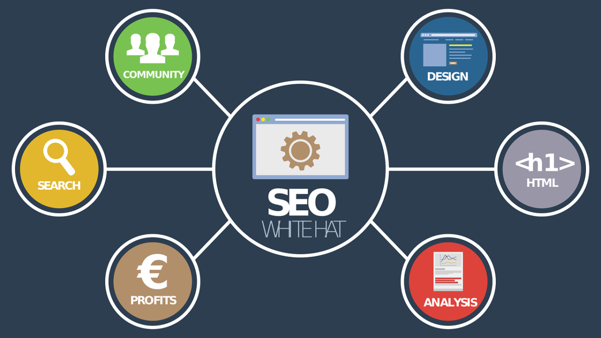 consulente Seo Torino