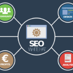 consulente Seo Torino