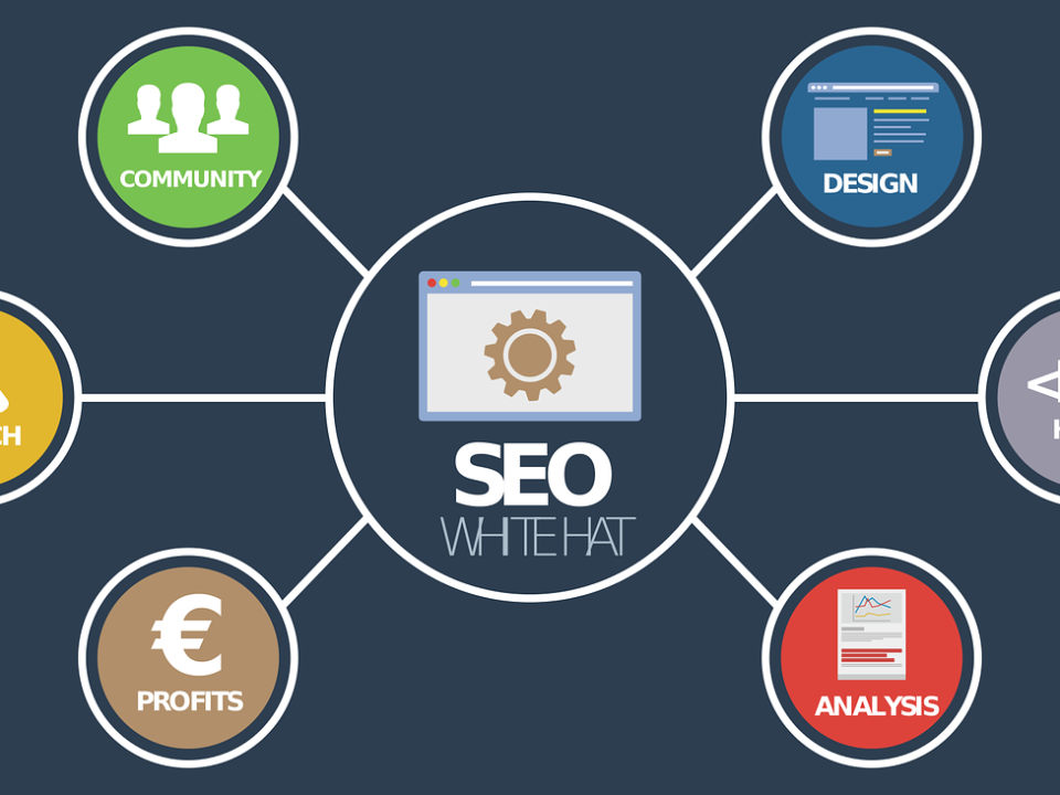 consulente Seo Torino